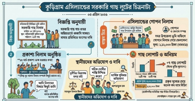 এসিল্যান্ডের লুকোচুরি নিলাম,২১ গাছের বদলে কাটা হলো ২৮টি